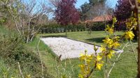 Pétanque